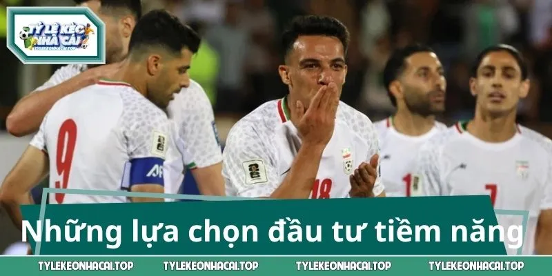 Những lựa chọn đầu tư tiềm năng nhất 