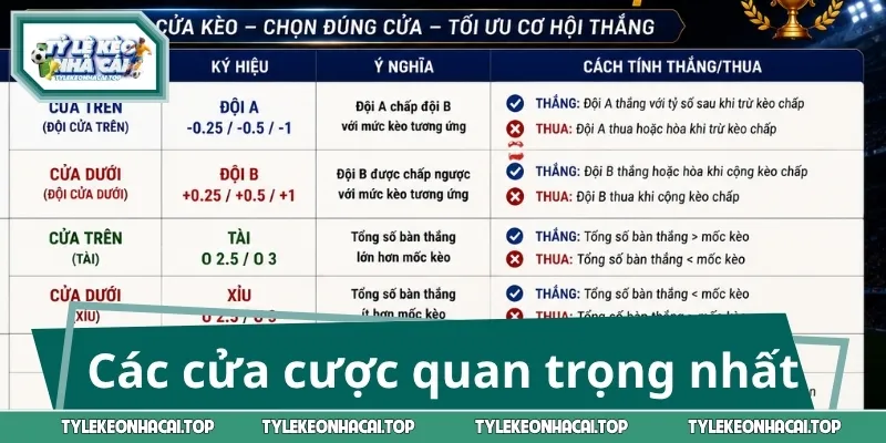 Các cửa cược quan trọng nhất