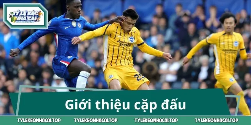 Giới thiệu cặp đấu Chelsea vs Brighton & Hove Albion